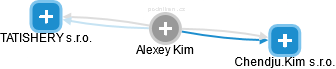 Alexey Kim - Vizualizace  propojení osoby a firem v obchodním rejstříku
