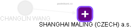  Changlin W. - Vizualizace  propojení osoby a firem v obchodním rejstříku