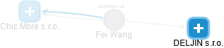 Fei Wang - Vizualizace  propojení osoby a firem v obchodním rejstříku