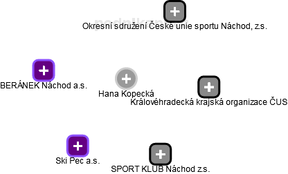 Hana Kopecká - Vizualizace  propojení osoby a firem v obchodním rejstříku