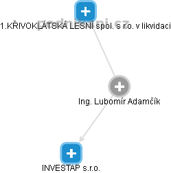 Lubomír Adamčík - Vizualizace  propojení osoby a firem v obchodním rejstříku
