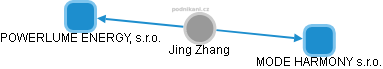 Jing Zhang - Vizualizace  propojení osoby a firem v obchodním rejstříku