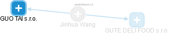 Jinhua Wang - Vizualizace  propojení osoby a firem v obchodním rejstříku