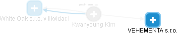 Kwanyoung Kim - Vizualizace  propojení osoby a firem v obchodním rejstříku