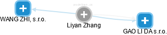 Liyan Zhang - Vizualizace  propojení osoby a firem v obchodním rejstříku