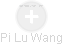 Pi Lu Wang - Vizualizace  propojení osoby a firem v obchodním rejstříku