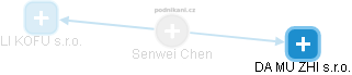 Senwei Chen - Vizualizace  propojení osoby a firem v obchodním rejstříku