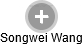  Songwei W. - Vizualizace  propojení osoby a firem v obchodním rejstříku