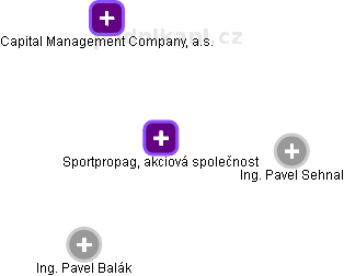 Sportpropag, akciová společnost - obrázek vizuálního zobrazení vztahů obchodního rejstříku