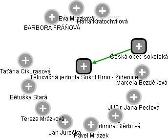 Tělocvičná jednota Sokol Brno - Židenice - obrázek vizuálního zobrazení vztahů obchodního rejstříku