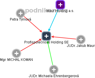 Profispolečnosti Holding SE - obrázek vizuálního zobrazení vztahů obchodního rejstříku