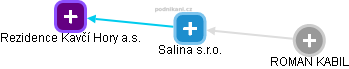 Salina s.r.o. - obrázek vizuálního zobrazení vztahů obchodního rejstříku