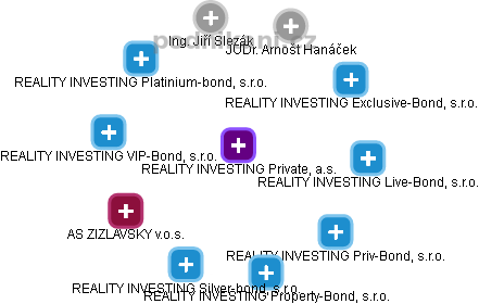 REALITY INVESTING Private, a.s. - obrázek vizuálního zobrazení vztahů obchodního rejstříku