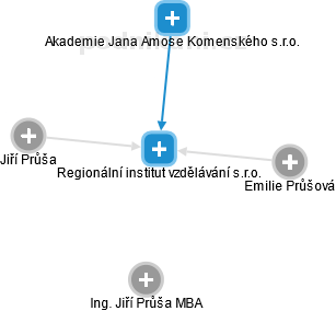 Regionální institut vzdělávání s.r.o. - obrázek vizuálního zobrazení vztahů obchodního rejstříku