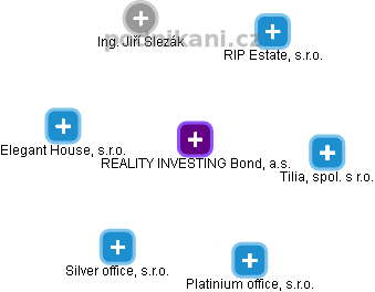 REALITY INVESTING Bond, a.s. - obrázek vizuálního zobrazení vztahů obchodního rejstříku