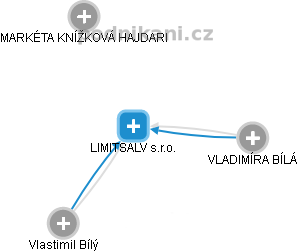 LIMITSALV s.r.o. - obrázek vizuálního zobrazení vztahů obchodního rejstříku