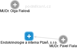 Endokrinologie a interna Plzeň, s.r.o. - obrázek vizuálního zobrazení vztahů obchodního rejstříku
