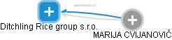 Ditchling Rice group s.r.o. - obrázek vizuálního zobrazení vztahů obchodního rejstříku