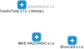 MIKE WAZOWSKI s.r.o. - náhled vizuálního zobrazení vztahů obchodního rejstříku