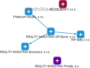 REALITY INVESTING VIP-Bond, s.r.o. - obrázek vizuálního zobrazení vztahů obchodního rejstříku