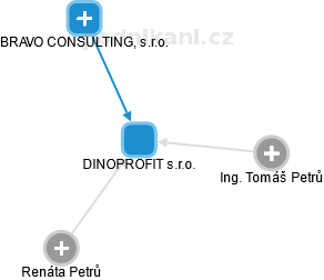 DINOPROFIT s.r.o. - obrázek vizuálního zobrazení vztahů obchodního rejstříku