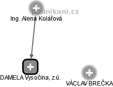 DAMELA Vysočina, z.ú. - obrázek vizuálního zobrazení vztahů obchodního rejstříku