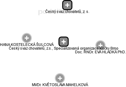 Český svaz chovatelů, z.s., Specializovaná organizace Kočky Brno - obrázek vizuálního zobrazení vztahů obchodního rejstříku