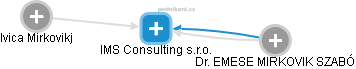 IMS Consulting s.r.o. - obrázek vizuálního zobrazení vztahů obchodního rejstříku