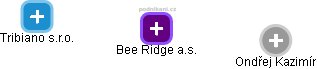 Bee Ridge a.s. - obrázek vizuálního zobrazení vztahů obchodního rejstříku
