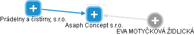Asaph Concept s.r.o. - obrázek vizuálního zobrazení vztahů obchodního rejstříku