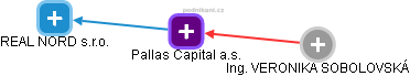 Pallas Capital a.s. - obrázek vizuálního zobrazení vztahů obchodního rejstříku
