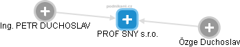 PROF SNY s.r.o. - obrázek vizuálního zobrazení vztahů obchodního rejstříku