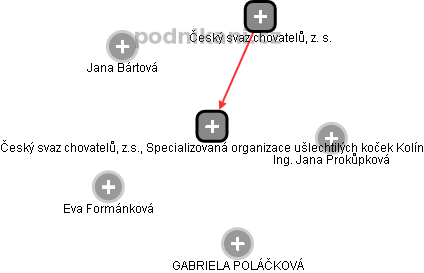 Český svaz chovatelů, z.s., Specializovaná organizace ušlechtilých koček Kolín - obrázek vizuálního zobrazení vztahů obchodního rejstříku