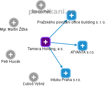 Tameca Holding, a.s. - obrázek vizuálního zobrazení vztahů obchodního rejstříku