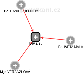 DIV z. s. - obrázek vizuálního zobrazení vztahů obchodního rejstříku