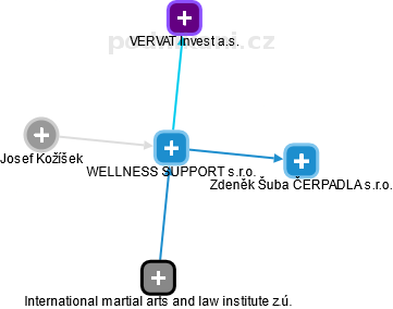 WELLNESS SUPPORT s.r.o. - obrázek vizuálního zobrazení vztahů obchodního rejstříku