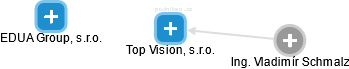 Top Vision, s.r.o. - obrázek vizuálního zobrazení vztahů obchodního rejstříku
