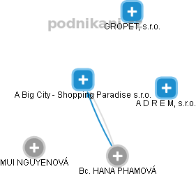 A Big City - Shopping Paradise s.r.o. - náhled vizuálního zobrazení vztahů obchodního rejstříku