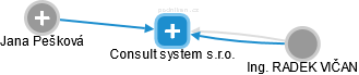 Consult system s.r.o. - obrázek vizuálního zobrazení vztahů obchodního rejstříku