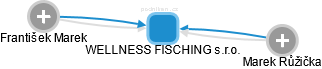 WELLNESS FISCHING s.r.o. - obrázek vizuálního zobrazení vztahů obchodního rejstříku