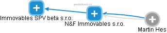 N&F Immovables s.r.o. - obrázek vizuálního zobrazení vztahů obchodního rejstříku