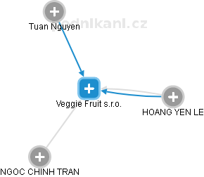 Veggie Fruit s.r.o. - obrázek vizuálního zobrazení vztahů obchodního rejstříku
