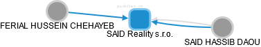 SAID Reality s.r.o. - obrázek vizuálního zobrazení vztahů obchodního rejstříku