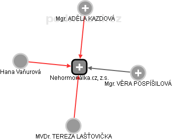 Nehormonálka.cz, z.s. - obrázek vizuálního zobrazení vztahů obchodního rejstříku