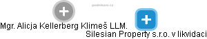 Silesian Property s.r.o. v likvidaci - obrázek vizuálního zobrazení vztahů obchodního rejstříku