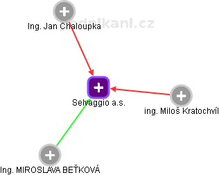 Selvaggio a.s. - obrázek vizuálního zobrazení vztahů obchodního rejstříku
