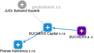 BUCHERS Capital s.r.o. - obrázek vizuálního zobrazení vztahů obchodního rejstříku
