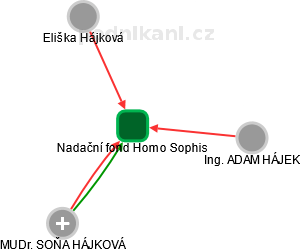 Nadační fond Homo Sophis - obrázek vizuálního zobrazení vztahů obchodního rejstříku