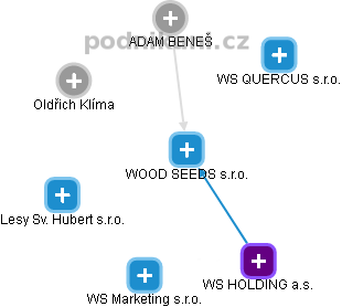 WOOD SEEDS s.r.o. - obrázek vizuálního zobrazení vztahů obchodního rejstříku