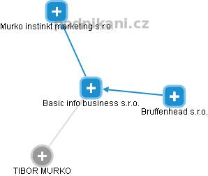 Basic info business s.r.o. - obrázek vizuálního zobrazení vztahů obchodního rejstříku